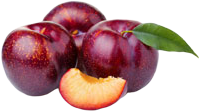 variedades de ciruela