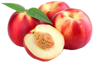 variedades de nectarina