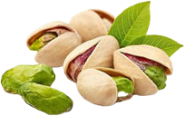 variedades de pistachos