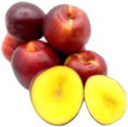melocoton carne amarilla nectarina bora 30