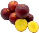 nectarina carne amarilla bora 20